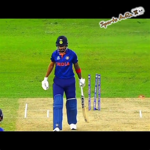 Top 10 yorkers 💀. World Best Bowling & Mitchell starc, Shaheen and king Amir master class Bowling☠️