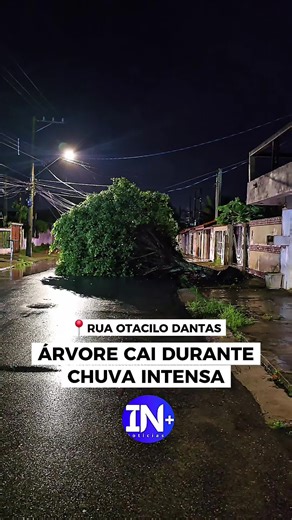 🌧️🌳 Chuvas fortes causam queda de árvore no Savoy Com as fortes chuvas que atingiram a cidade hoje, uma árvore caiu na Rua Otacílio Dantas, no bairro Savoy, em Itanhaém. Moradores pedem atenção redobrada e providências para evitar riscos a pedestres e motoristas. ⚠️ Se possível, evite a via até a liberação completa. 📹 Acompanhe no vídeo os detalhes da ocorrência.