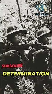 Vietnam War: Inside the Jungle Battlefield | The Insight Vault