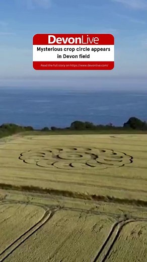 Impressive videos shows the crop circle in a field overlooking the sea near Lyme Regis | Devon Live