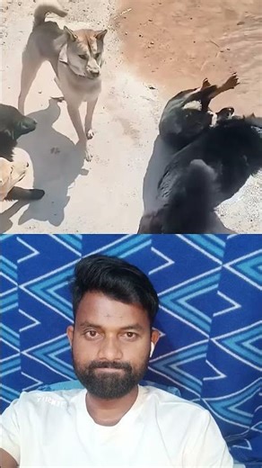 sukoon 🥰🤪🥰💞🤪