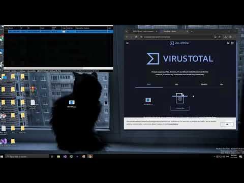 تشفير البايلود كلين 🍀