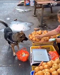 30 reactions · 13 shares | 헗헼헴 헕헮헿헴헮헶헻혀 헪헵헶헹헲 헕혂혆헶헻헴 헔헽헽헹헲혀 헙헿헼헺...