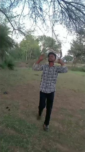 timli Gujarati Hindi