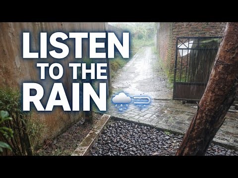 Peaceful Rain in the Alley 🌧️ | Natural Rain Sounds Live