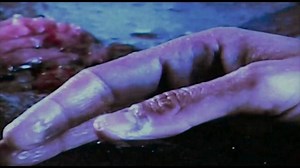 ONE STEP FORWARD, TWO STEPS BACK