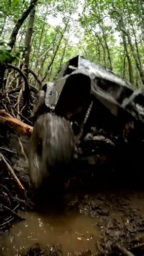 Extreme Mangrove Mudding: UTV Off-Roading Adventure! 🌳💨