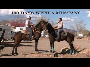 100 Days with a Mustang
