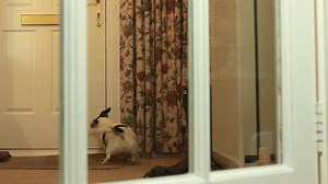 232 reactions · 61 shares | DID YOU KNOW THERE ARE FOUR TYPES OF...