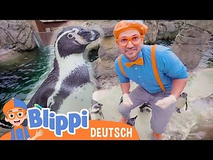 Blippi Deutsch - Das Pinguin Lied | Abenteuer und Videos für Kinder