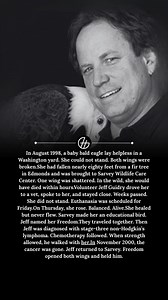 In August 1998, a baby bald eagle lay helpless in a Washington yard. She could not stand. Both wings were broken. She had fallen nearly eighty feet from a fir tree in Edmonds and was brought to Sarvey Wildlife Care Center. One wing was shattered. In the wild, she would have died within hours. Volunteer Jeff Guidry drove her to a vet, spoke to her, and stayed close. Weeks passed. She did not stand. Euthanasia was scheduled for Friday. On Thursday, she rose. Balanced. Alive. She healed but never f