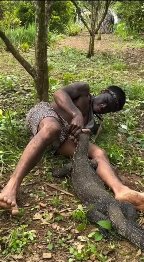 The Unmatched Power of the Komodo Dragon