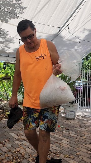 122K views · 1.3K reactions | Lunch coming up. Yellowtail Snapper Fish, local catching. Sandy's Backyard KitchenGarden Travels | Real Estate Florida Food & Travels | Facebook