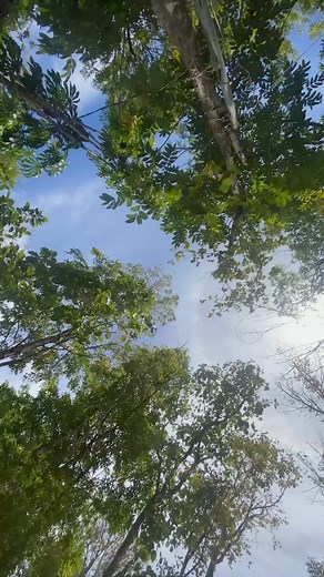 D' Pabebe Gurls 🤣 #healingfestival #incidentcommandpost | Endreah Yuag