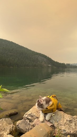 Fire season is in full swing - if you see firefighting aircraft give them space to work, and never fly your drones near wildfires. Its illegal (even drones under 249g) and endangers aircraft and firefighters.