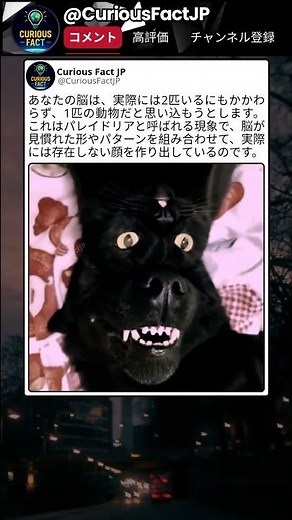動画が終わる前に気づけましたか？ 👀