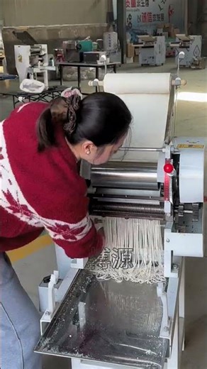 #Home Noodle Maker #Noodle Press Machine #Noodle Maker#household noodle machine #shorts