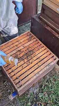 Keep the nest open - Late Autumn