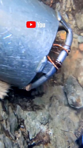 Prospecting For Adventure (@prospectingforadventure)’s videos with original sound - Prospecting For Adventure