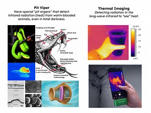 Lesson 2: Spectrum of Light