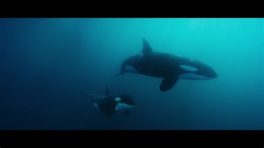 VCCP launches Barclays UK campaign, moving beyond banking clichés | Georgia Wright posted on the topic | LinkedIn