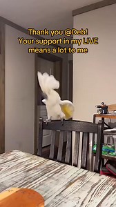 Deb, thank you for the incredible support in my LIVE! I will keep creating better LIVE content!@Deb #livegift #galaxy | The Ollie Bird Family | Facebook