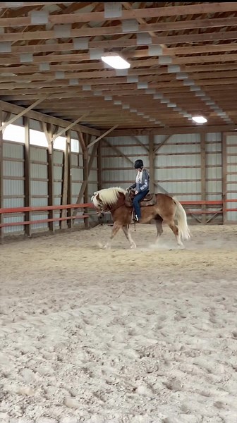 PFC Stables on TikTok