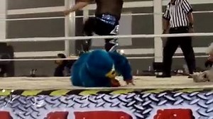 465K views · 19K reactions | Kemonito vs alushe vs guapito | Kemonito me fortalece | Facebook