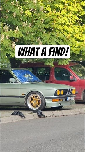 Such A Beautiful E28 😍 #bmw #bmwe28 #e28 #oldcars #classicbmw #classiccars #cartok #bmw5 #5series