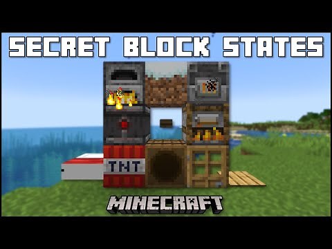 Minecraft - Blocks With Secret Block States