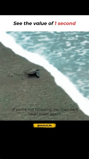 The Value of 1 Second ⏳..#shorts #motivation #mindset #success #trandingshorts #mindset #time