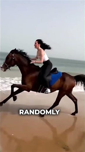 Icelandic horses are actually insane #horse #equestrian #viral