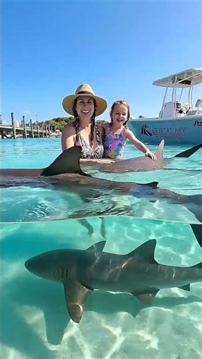 Ultimate Exuma Full-Day Tour! 🦈 Sharks & 007 Grotto
