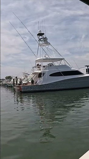 White Marlin Open 2026 #fishing #whitemarlinopen #wmo #oceancitymd #offshorefishing #billfish