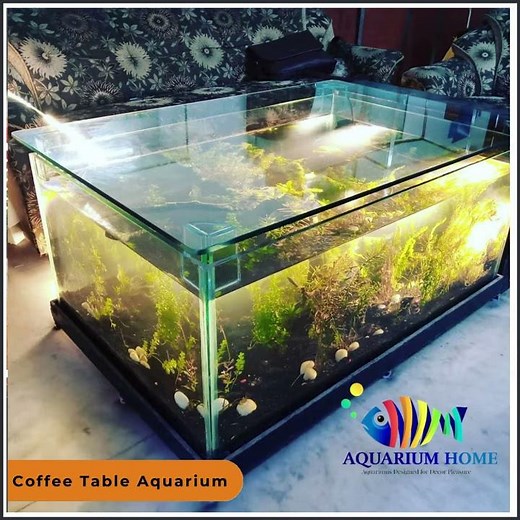 Coffee Table Aquarium
