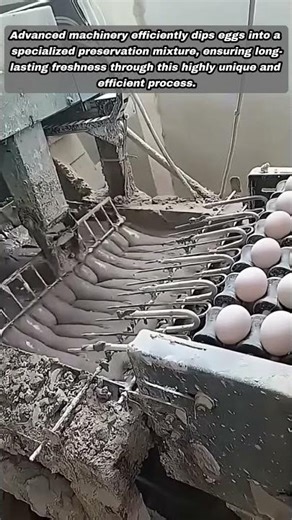 Advanced Process For Coating Eggs Using Specialized Mud Mixture