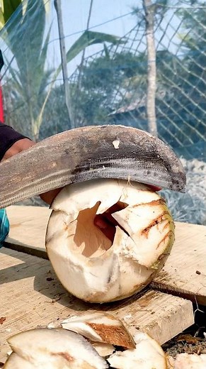 How to Open a Coconut at Home (No Power Tools Needed!)Struggling to get into that coconut