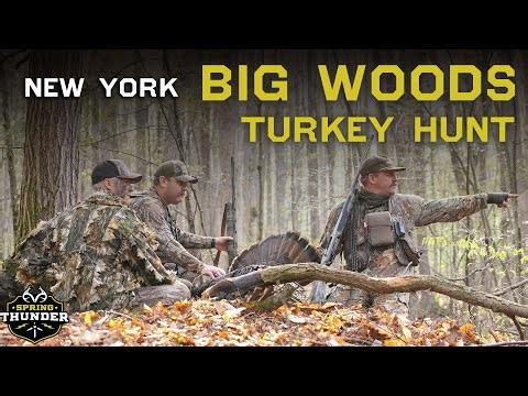 Big Woods Turkey Hunting | New York Long Beards | Spring Thunder
