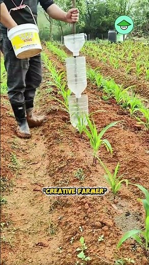 Creative Farmer Uses Smart Tool for Faster Fertilizing! 🌱⚡