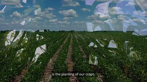 37 reactions · 19 shares | Illinois farmers are doing more than growing crops and raising livestock. They're discovering ways to do things better and finding sustainable solutions to some of society's biggest challenges. See for yourself how innovation grows right here, in Illinois. | Illinois Farm Families | Facebook