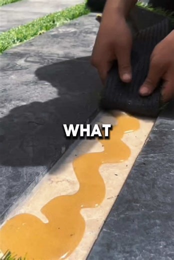 Family Drama Over College Tuition: A Ferrari Conversation