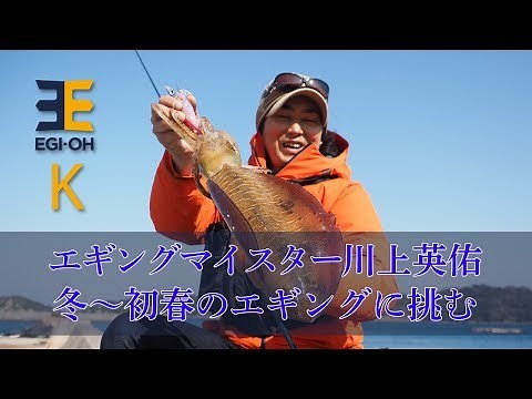 エギングマイスター川上英佑 冬～初春のエギングに挑む
