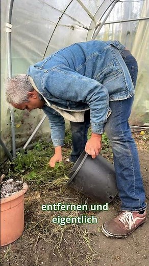 Gartenarbeit im Winter Tag 16 - Arbeiten im Folientunnel im Winter #garten #gartentipps