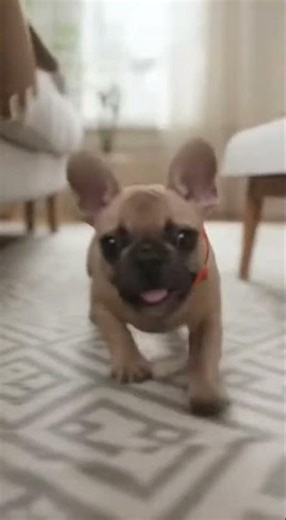 Me after my morning coffee ☕️🤪