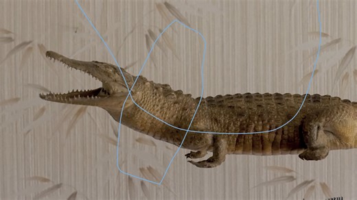 FIFEQ-MONTRÉAL | 22e édition | Bande annonce