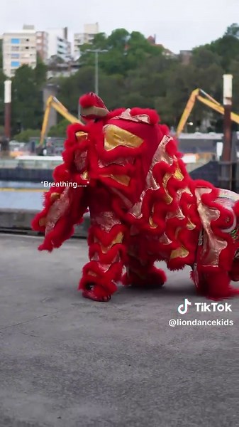 BTS: Practice makes perfect. 🐲💥 . . #liondancekids #liondance #ykmaus #training #bts