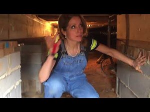 Cleaning Up Your Crawl Space