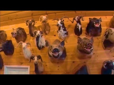 Spartan Hunting Preserve Lodge Tour and Hunt.