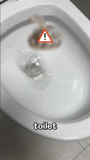 This Woman Was Shocked When Her Toilet Made a Noise... What She Found Was Totally Unexpected!