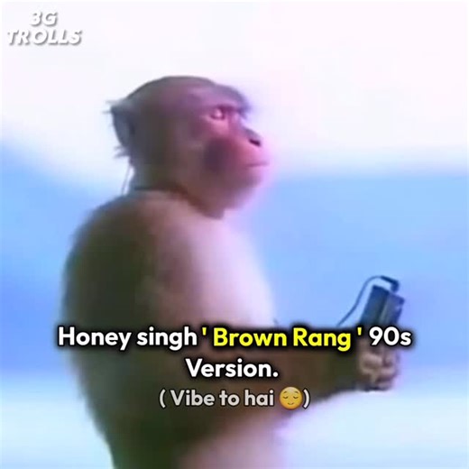 3G Trolls on Instagram: "Vibe toh hai sach main #reels #memes #trending #relatable"